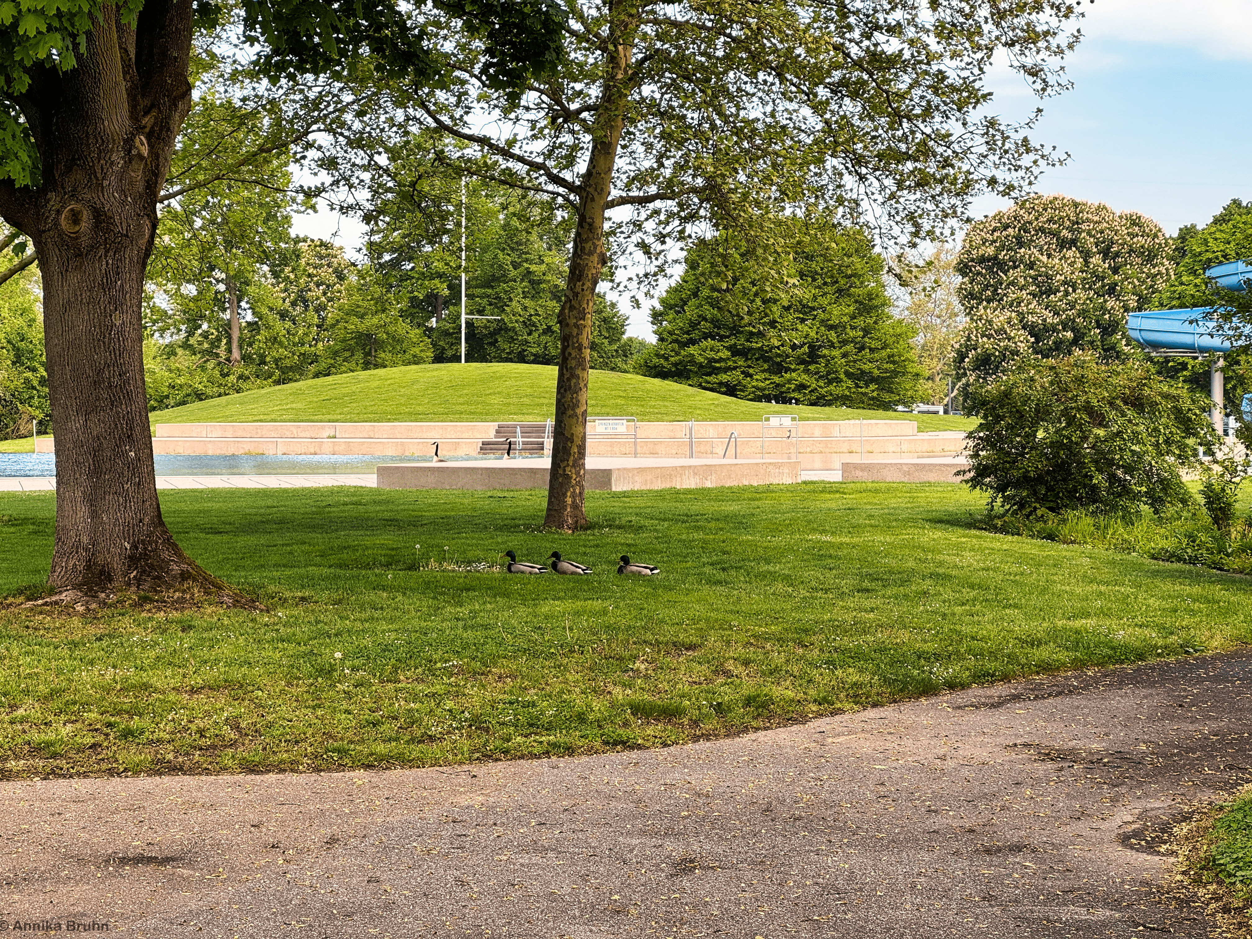 Erste Besucher im Freibad